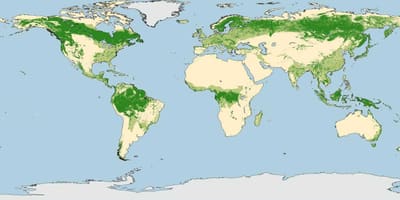 Austrália florestas mapa